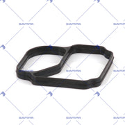 Gasket, Water Pump (034.044)