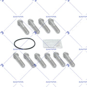 Repair Kit, Brake Disc (075.620)