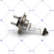 Bulb, Lighting (096.1835)