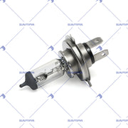 Bulb, Lighting (096.5062)