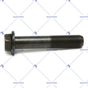 Screw, Flywheel (102.915)