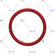 O-Ring (115.569)