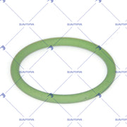 O-Ring (115.679)