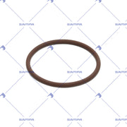 O-Ring, Pumps (115.951)