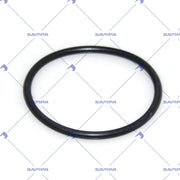 Gasket, Thermostat (203.148)