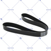 Multiribbed Belt, Fan (203.404-01)