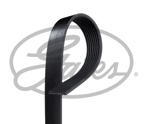Volvo FH D13C V2 /  FH D13C 540 V4 V-Ribbed Belt - Alt Side (8PK1538HD)