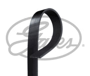 Volvo FH D13C V2 /  FH D13C 540 V4 V-Ribbed Belt - Alt Side (8PK1538HD)