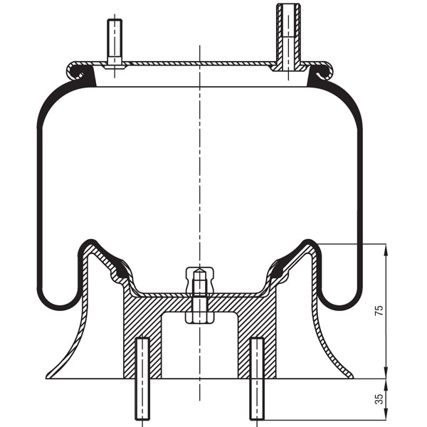 Air Spring Assembly - Kenworth Airglide 100 Older / Truck