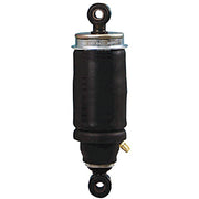 Air Spring & Shocker Assembly - MAN F2000 / TGA (Rear)